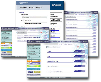 Credit Report Monitoring Service